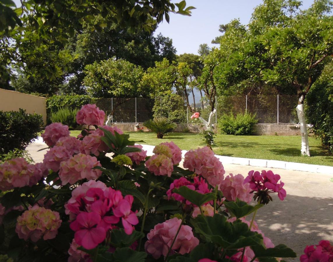 Casa Malu Boutique Apartments - No 1 กูเวีย ภายนอก รูปภาพ